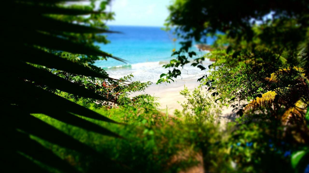 Bacolet Beach Club Scarborough Luaran gambar